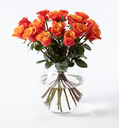 15 oransje roser 15 oransje roser